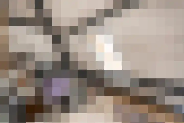 de Hare 55 Oldemarkt thumbnail 37