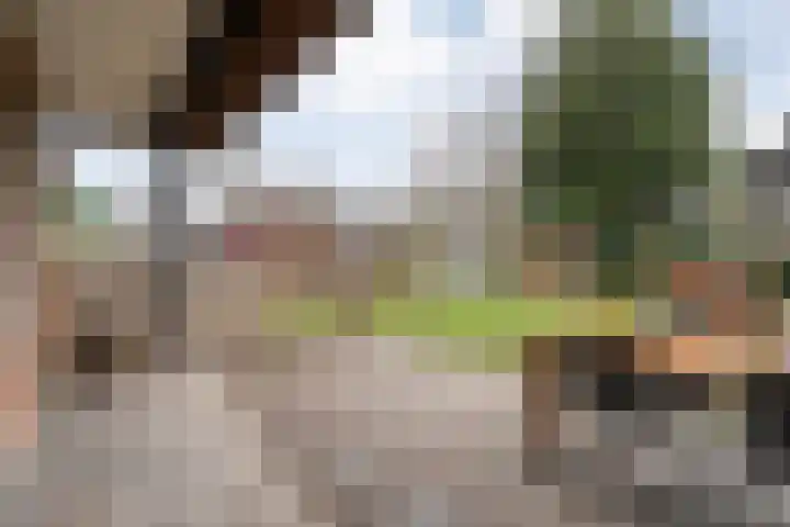 de Hare 55 Oldemarkt thumbnail 46