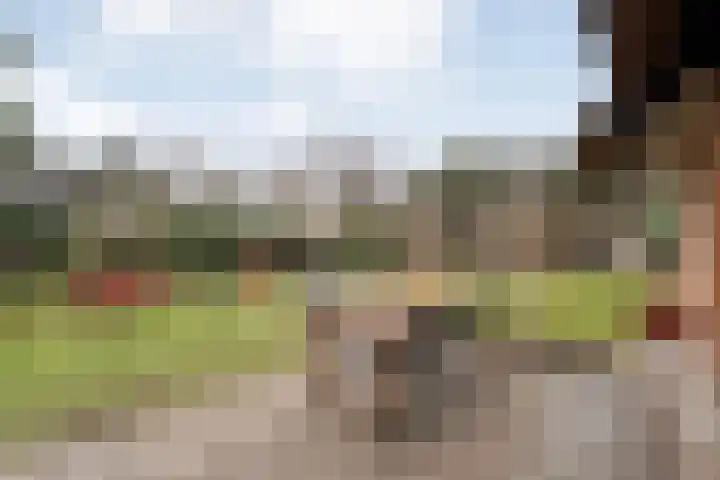 de Hare 55 Oldemarkt thumbnail 47