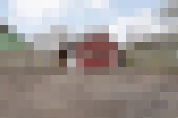 de Hare 55 Oldemarkt thumbnail 58