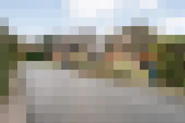 de Hare 55 Oldemarkt thumbnail 62