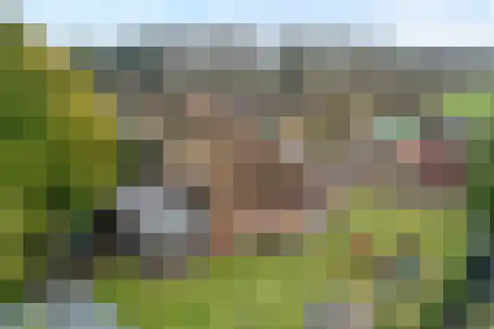de Hare 55 Oldemarkt thumbnail 7