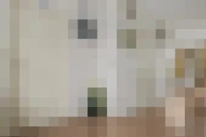 de Hare 80 Oldemarkt thumbnail 18