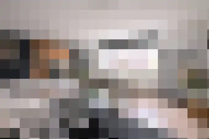 de Hare 80 Oldemarkt thumbnail 37