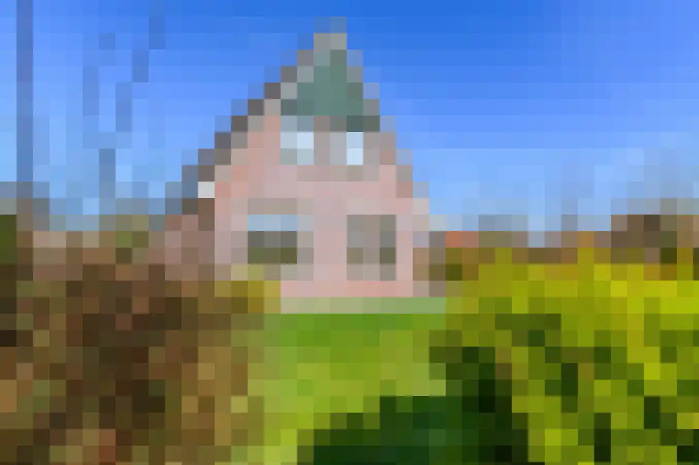 de Hare 80 Oldemarkt thumbnail 4