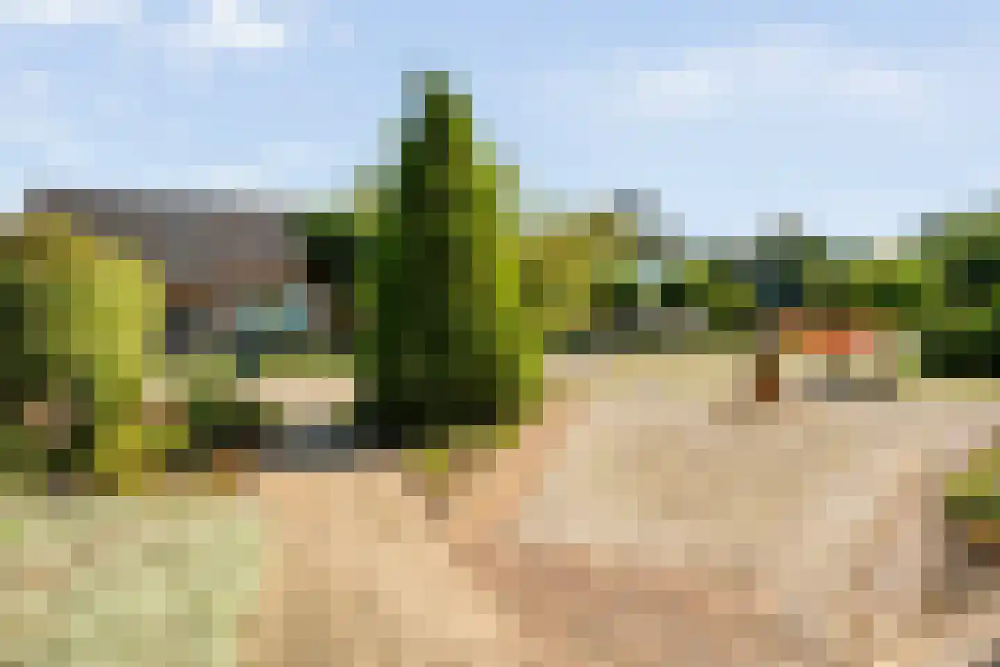 de Hare 84 Oldemarkt thumbnail 11