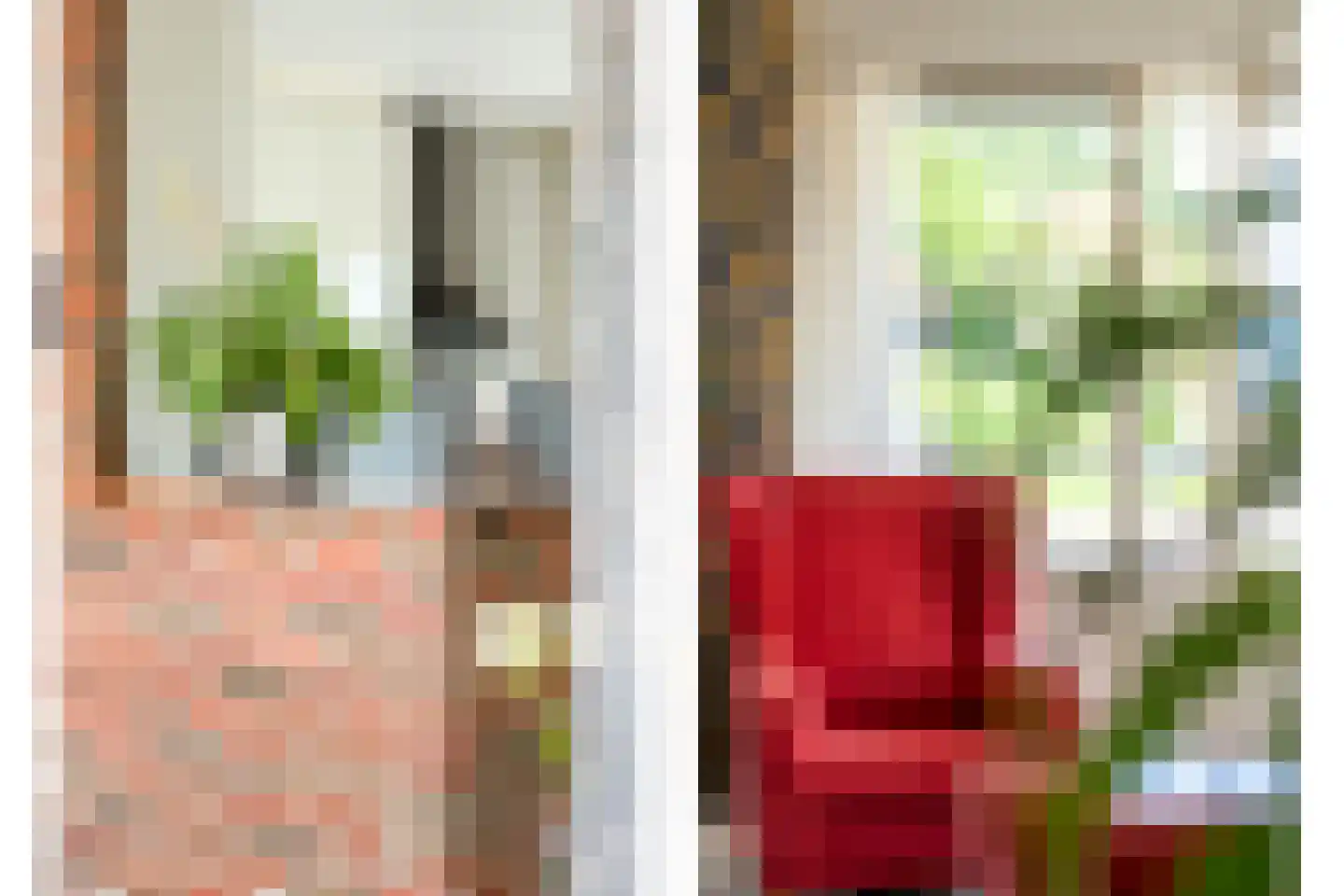 de Hare 84 Oldemarkt thumbnail 14