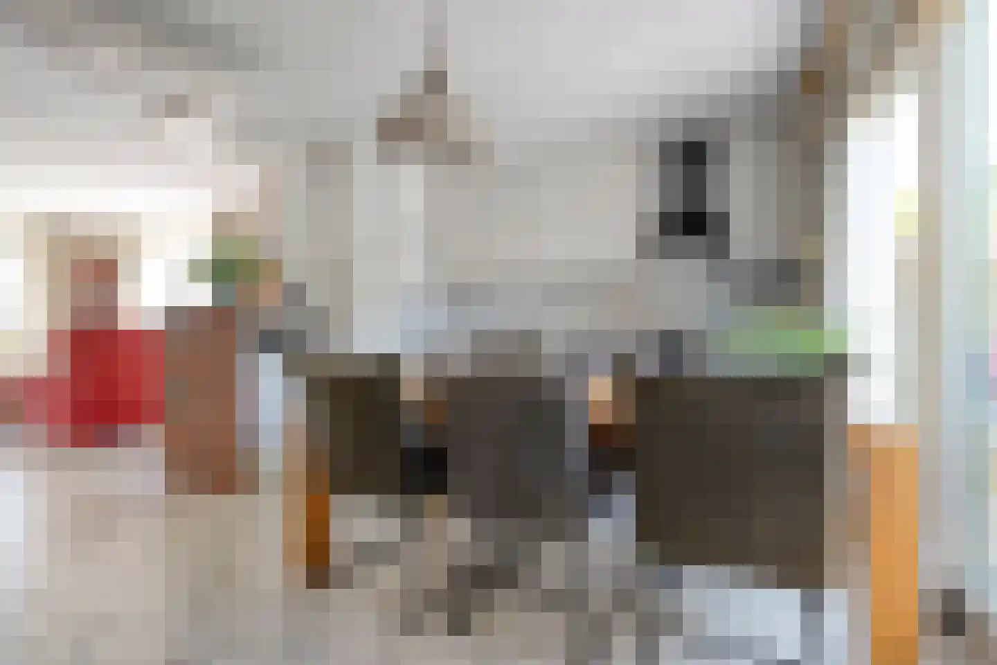 de Hare 84 Oldemarkt thumbnail 20