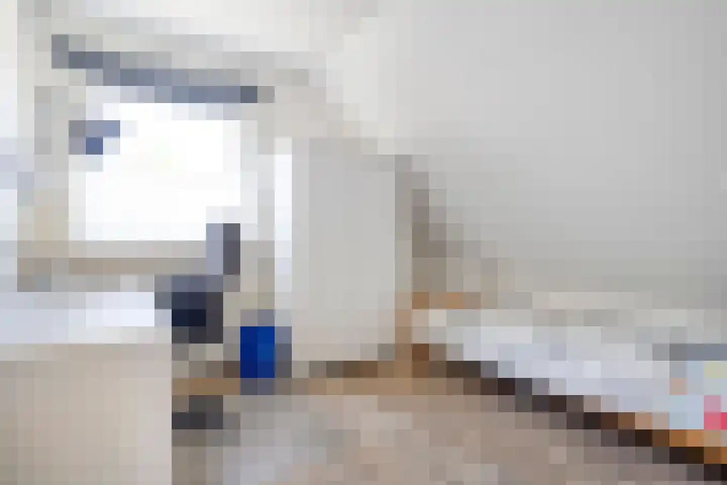 de Hare 84 Oldemarkt thumbnail 33
