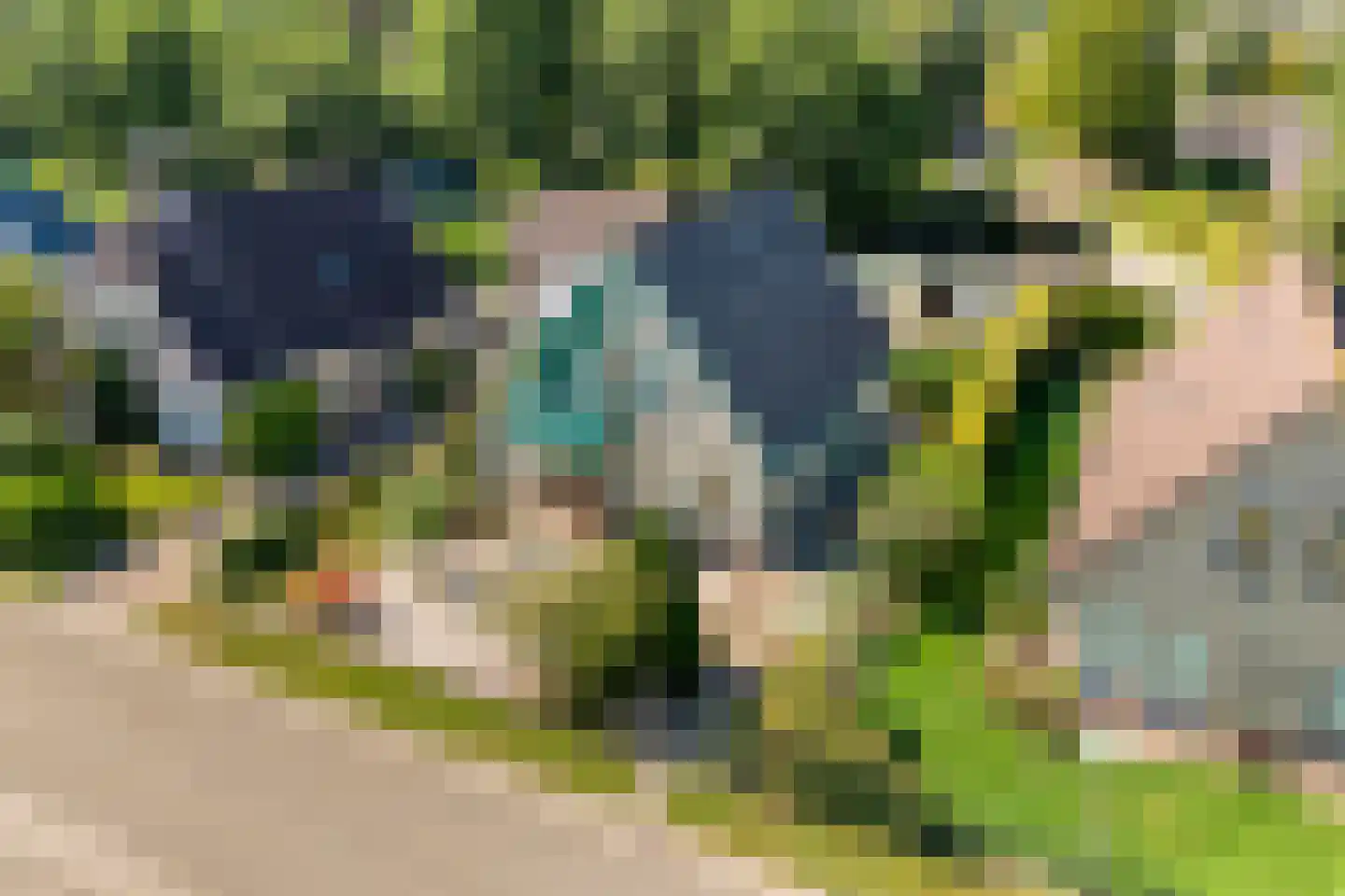de Hare 84 Oldemarkt thumbnail 6