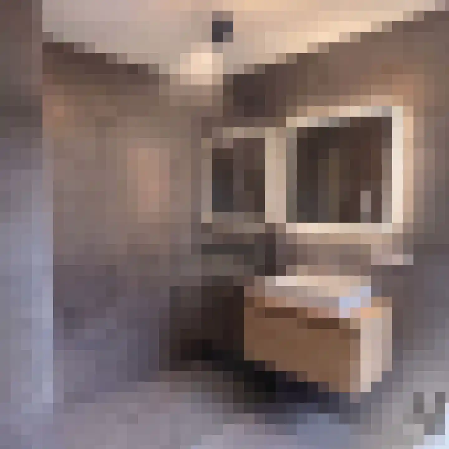 De Harmonie 14 Laag-Soeren thumbnail 10