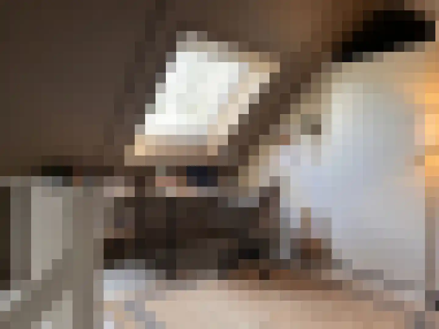 De Harmonie 14 Laag-Soeren thumbnail 12
