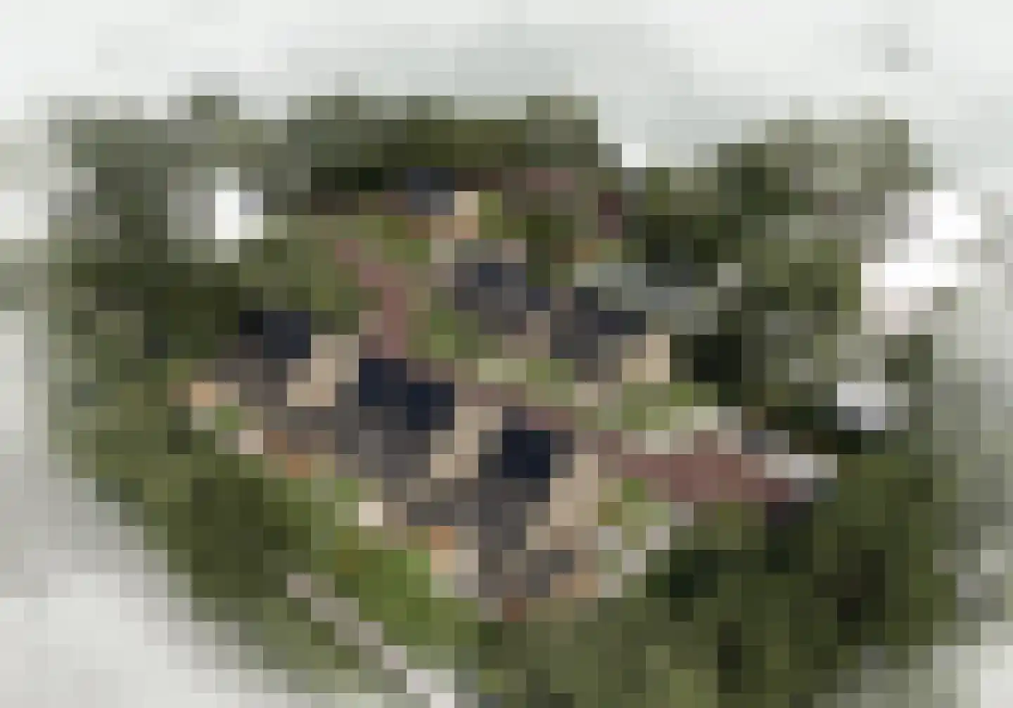 De Harmonie 14 Laag-Soeren thumbnail 15