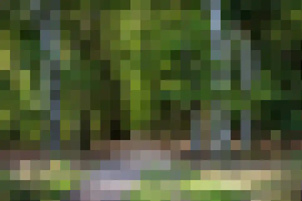 De Harmonie 14 Laag-Soeren thumbnail 36