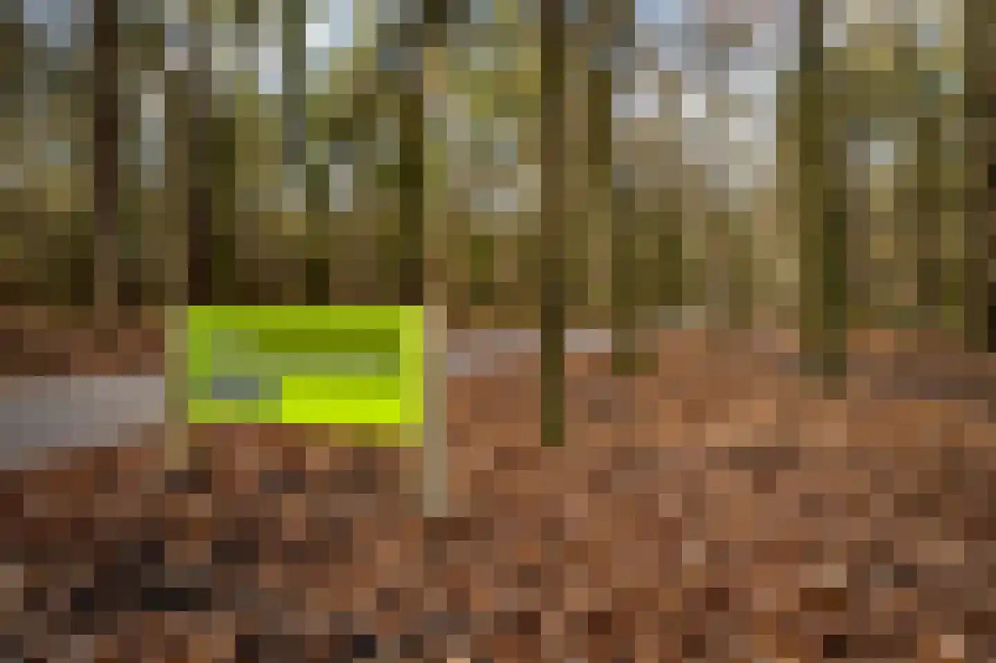 De Harmonie 14 Laag-Soeren thumbnail 37