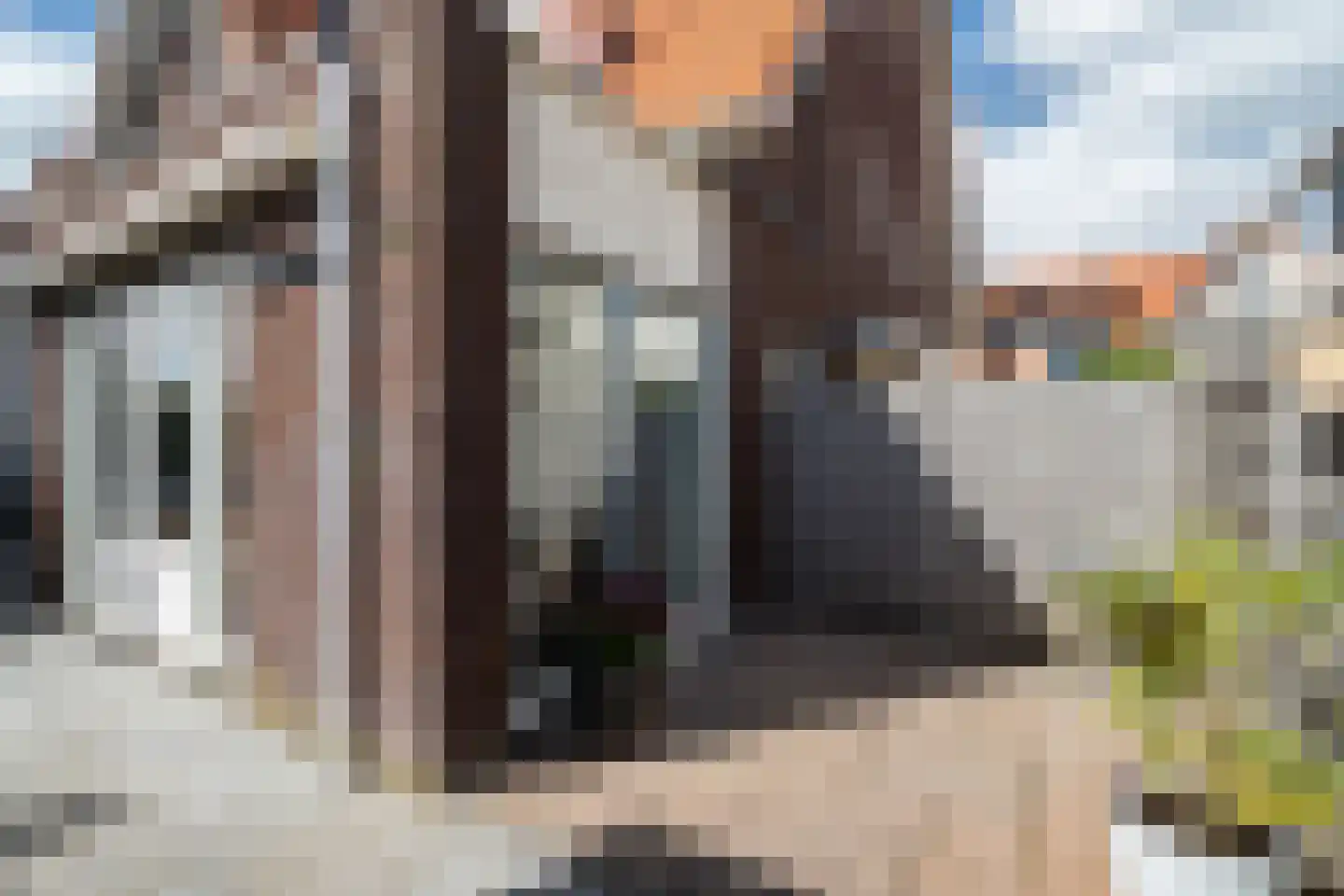 De Harnasch 16 Pijnacker thumbnail 14