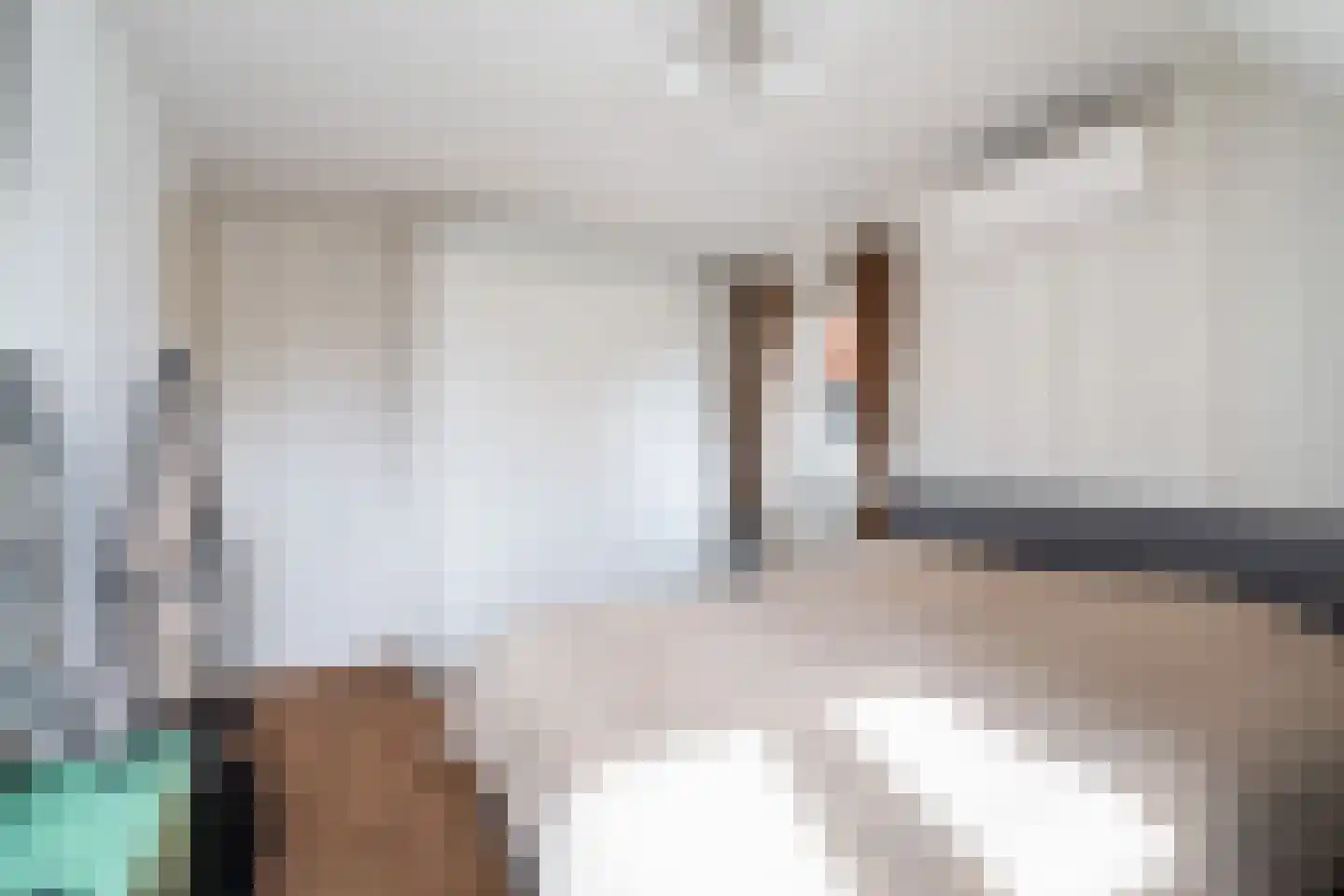 De Harnasch 16 Pijnacker thumbnail 17
