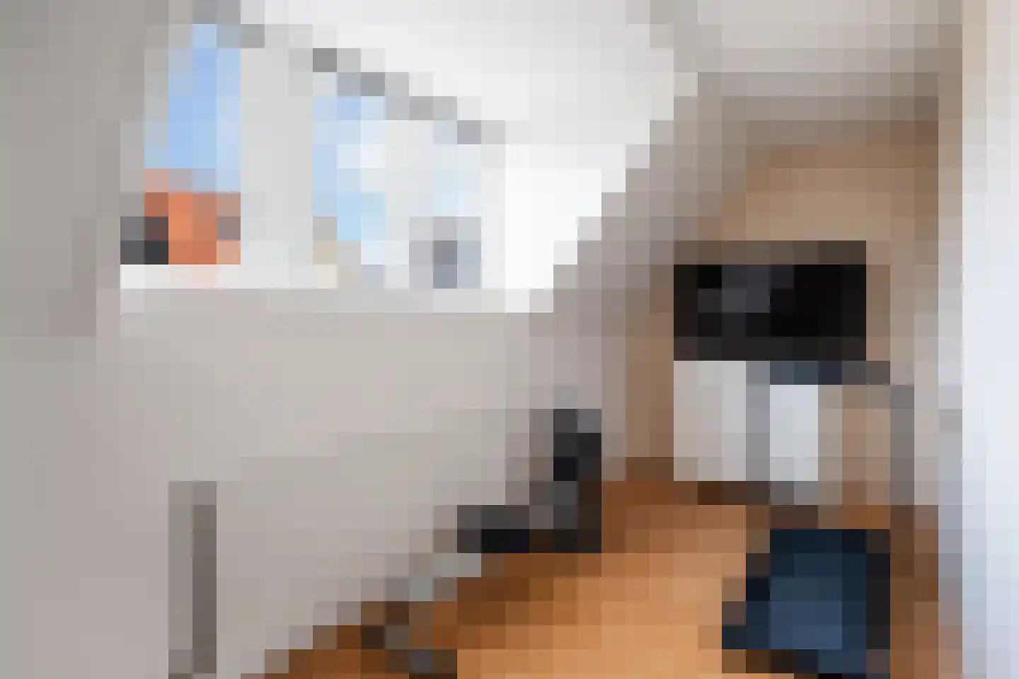 De Harnasch 16 Pijnacker thumbnail 19