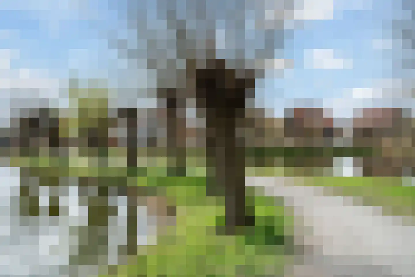 De Harnasch 16 Pijnacker thumbnail 29
