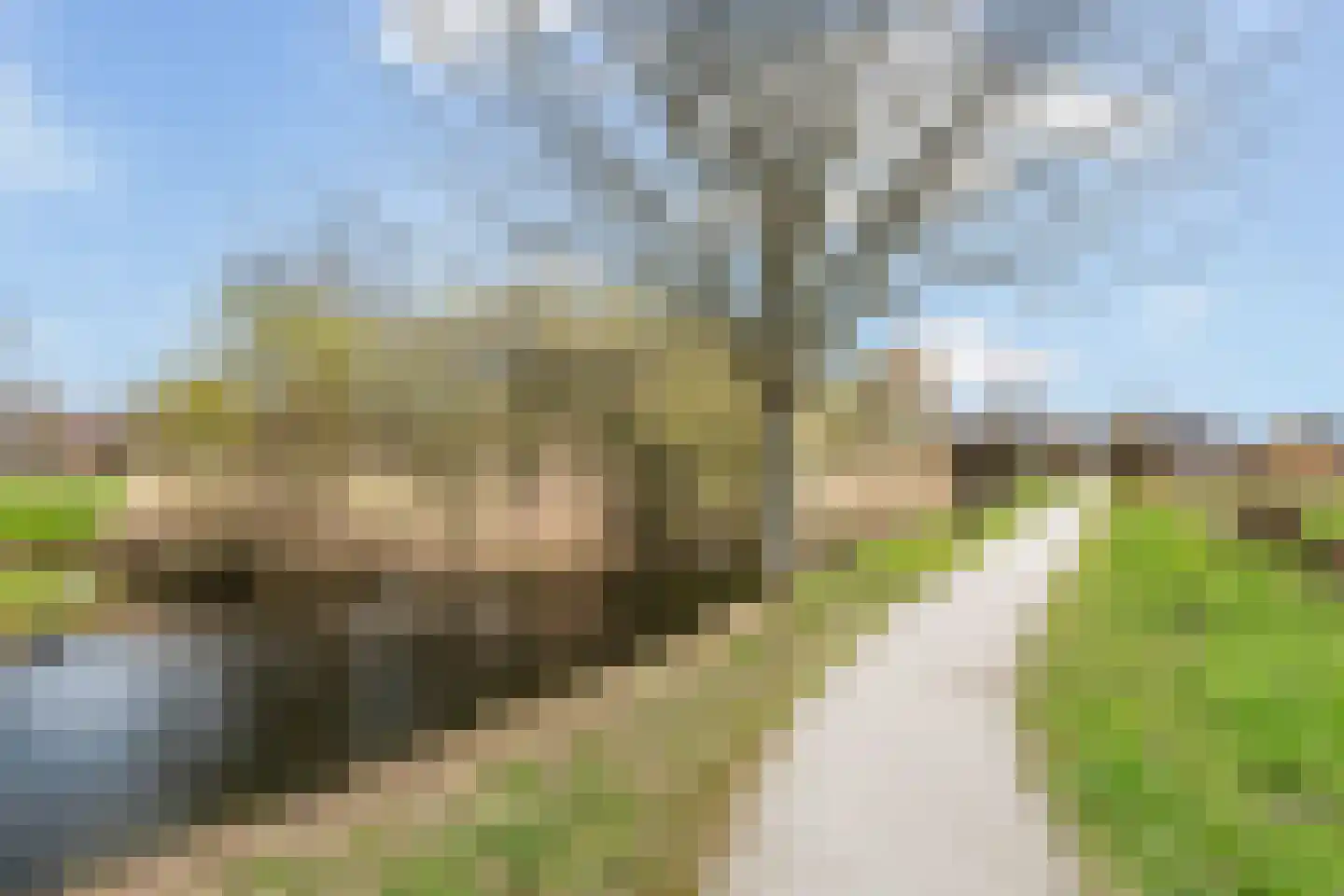De Harnasch 16 Pijnacker thumbnail 30