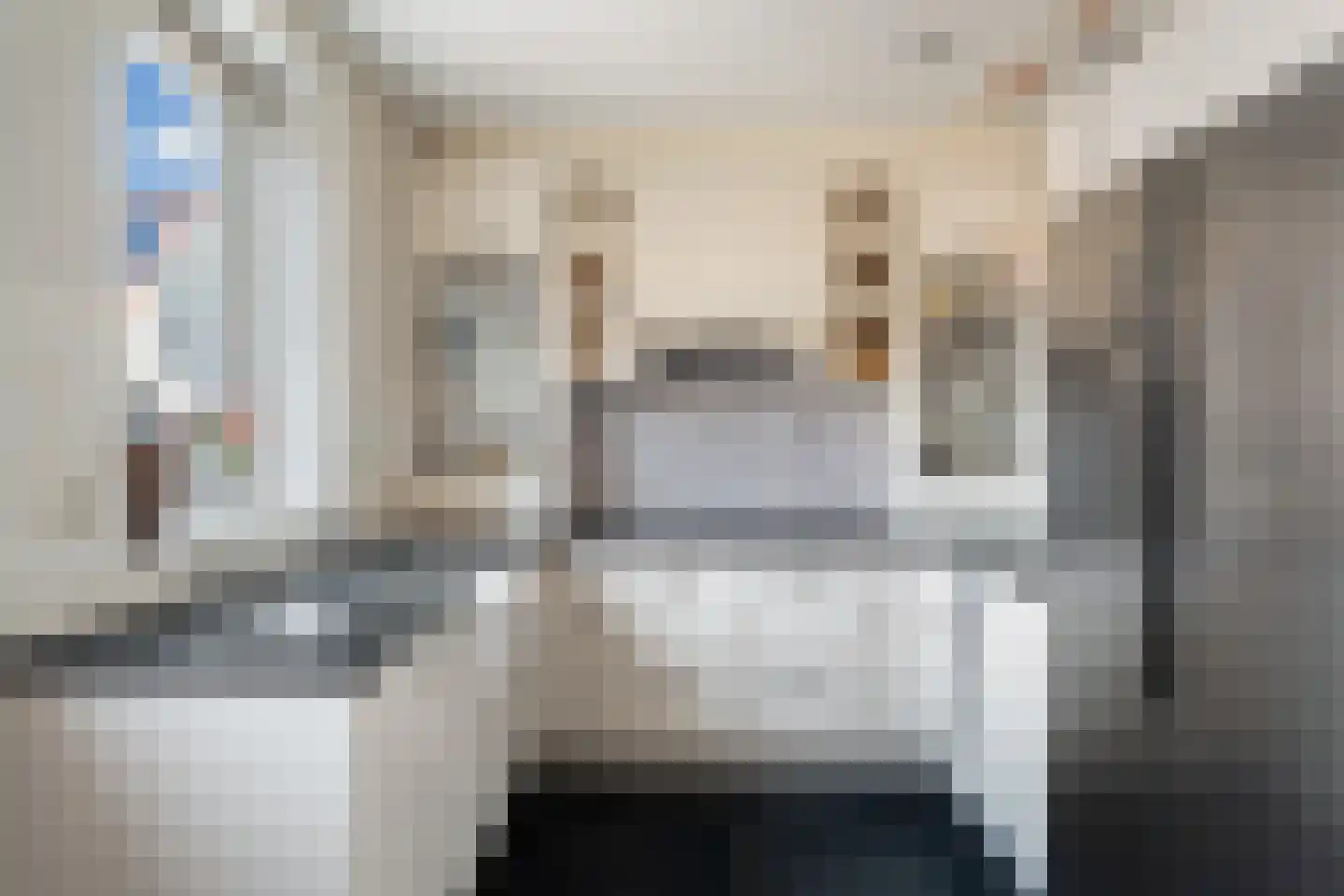 De Harnasch 16 Pijnacker thumbnail 8