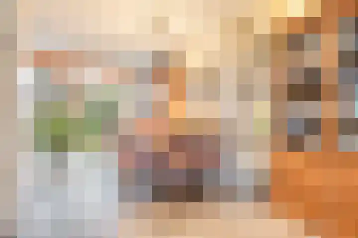 De Harnasch 25 Pijnacker thumbnail 13