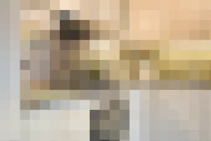 De Harnasch 25 Pijnacker thumbnail 15