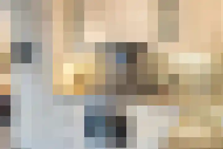 De Harnasch 25 Pijnacker thumbnail 16