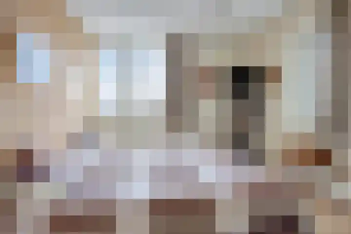 De Harnasch 25 Pijnacker thumbnail 21