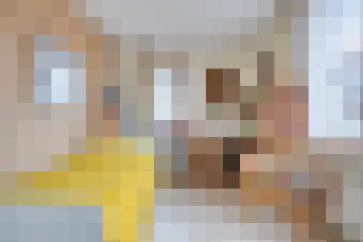 De Harnasch 25 Pijnacker thumbnail 25