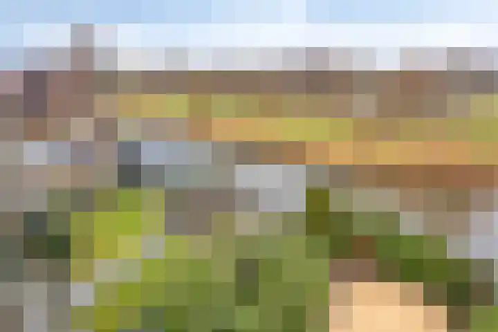 De Harnasch 25 Pijnacker thumbnail 38
