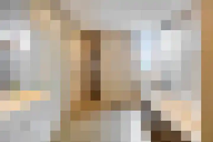 De Harnasch 25 Pijnacker thumbnail 4