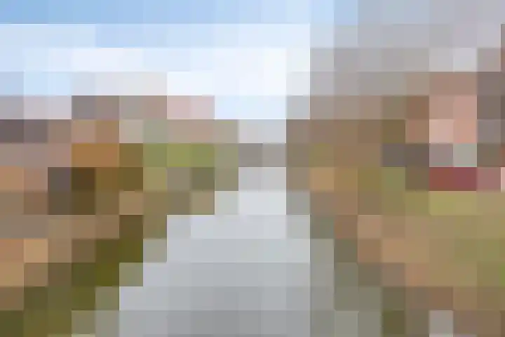 De Harnasch 25 Pijnacker thumbnail 41
