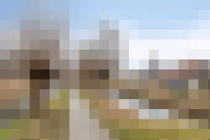 De Harnasch 25 Pijnacker thumbnail 43