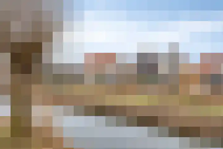 De Harnasch 25 Pijnacker thumbnail 44