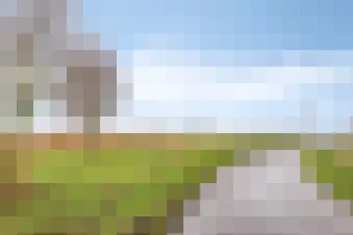 De Harnasch 25 Pijnacker thumbnail 48