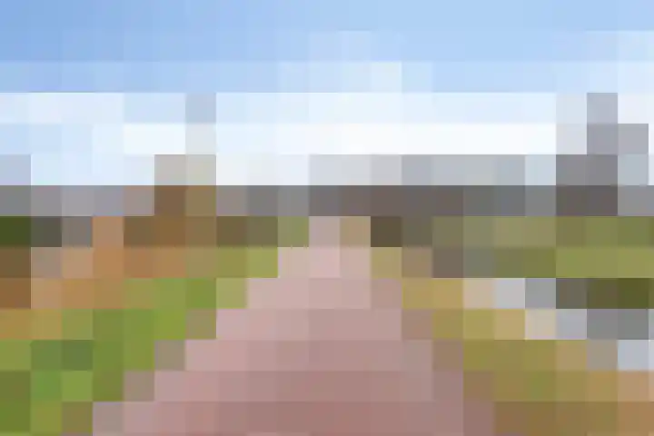 De Harnasch 25 Pijnacker thumbnail 49