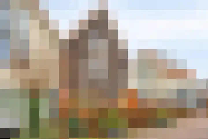 De Harnasch 25 Pijnacker thumbnail 7