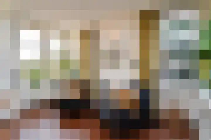 De Harnasch 41 Pijnacker thumbnail 12