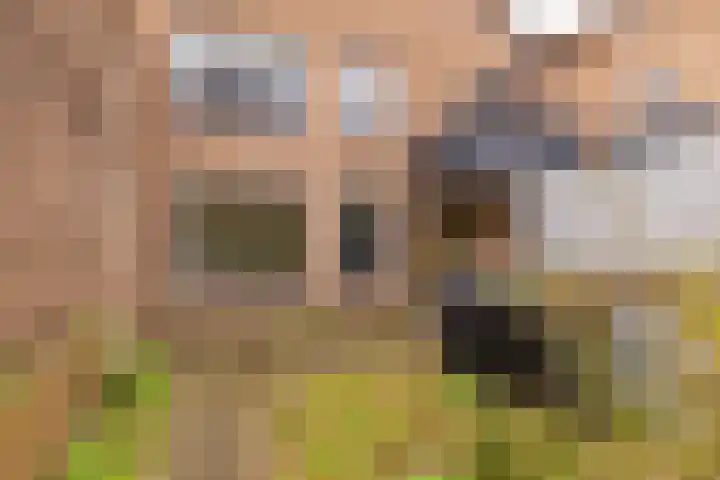 De Harnasch 41 Pijnacker thumbnail 13