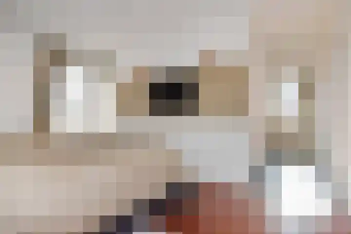 De Harnasch 41 Pijnacker thumbnail 25