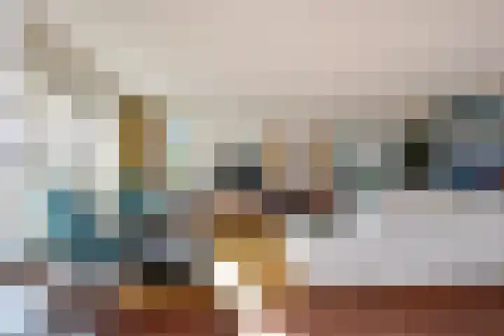 De Harnasch 41 Pijnacker foto 3