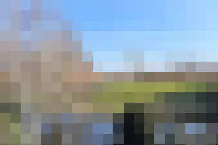 De Harnasch 41 Pijnacker thumbnail 32