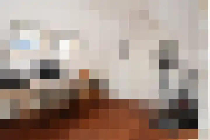 De Harnasch 41 Pijnacker thumbnail 34