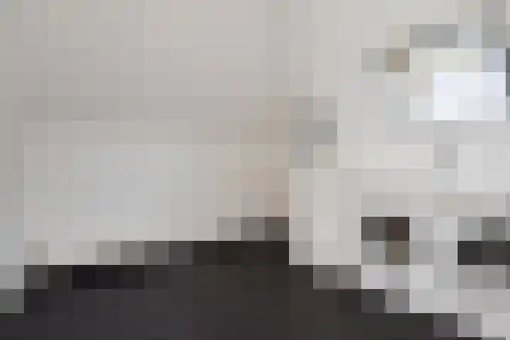 De Harnasch 41 Pijnacker thumbnail 37