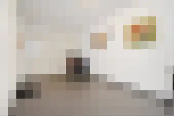 De Harnasch 41 Pijnacker thumbnail 39