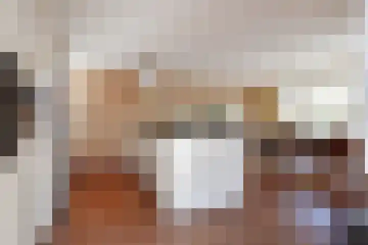 De Harnasch 41 Pijnacker thumbnail 4