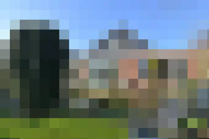 De Harnasch 41 Pijnacker thumbnail 40