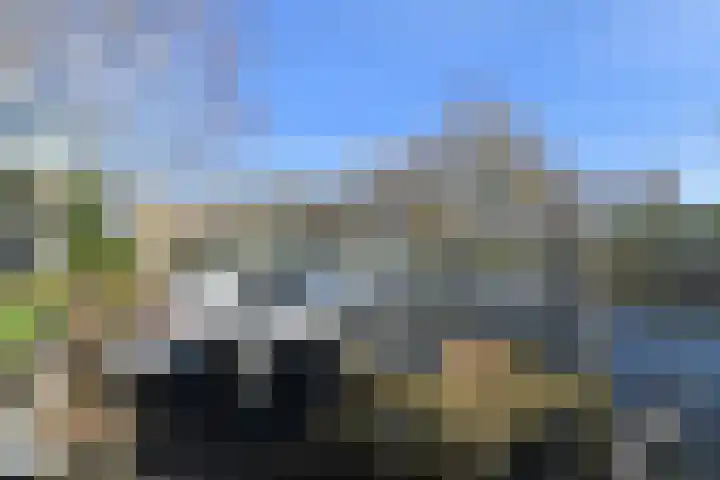 De Harnasch 41 Pijnacker thumbnail 47