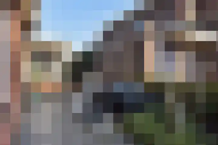 De Harnasch 41 Pijnacker thumbnail 49